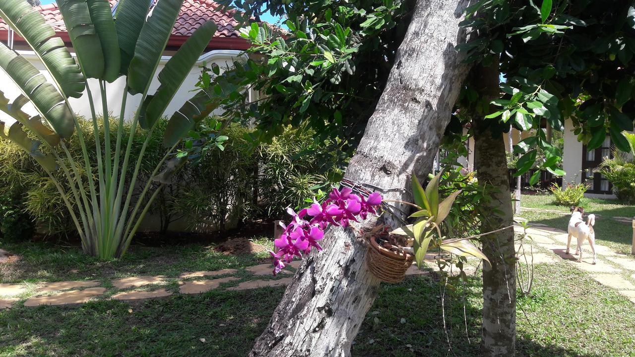 Lanka Beach Grand Villa Rekawa Εξωτερικό φωτογραφία